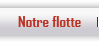 TRANSPORTS INTERNATIONAUX J.D.M, France - Portugal - Espagne, Nord (59)  Roncq : Notre flotte